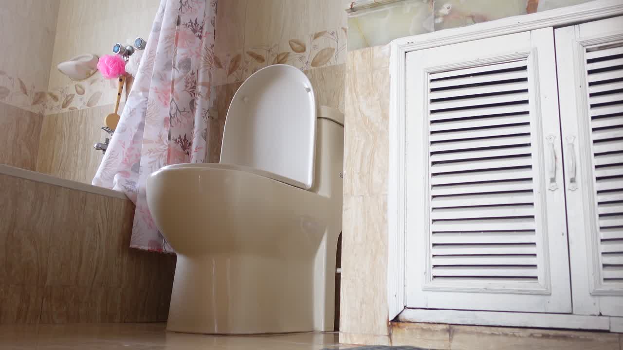 Bathroom Interior with Toilet and Vanity