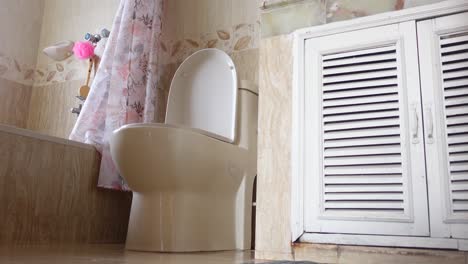 bathroom interior with toilet and vanity