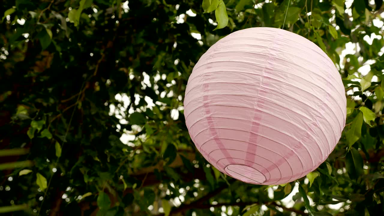 bolas rosadas blancas de papel de arroz colgando de las ramas de los árboles verdes