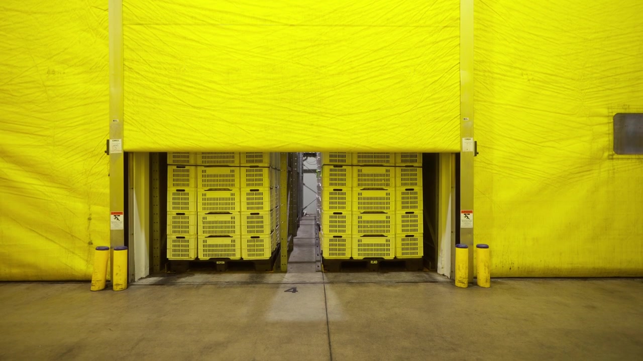 Grandi porte industriali all'interno di un impianto di trasformazione alimentare con pareti giallo brillante e attrezzature