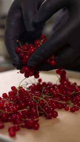 chef preparing red currants