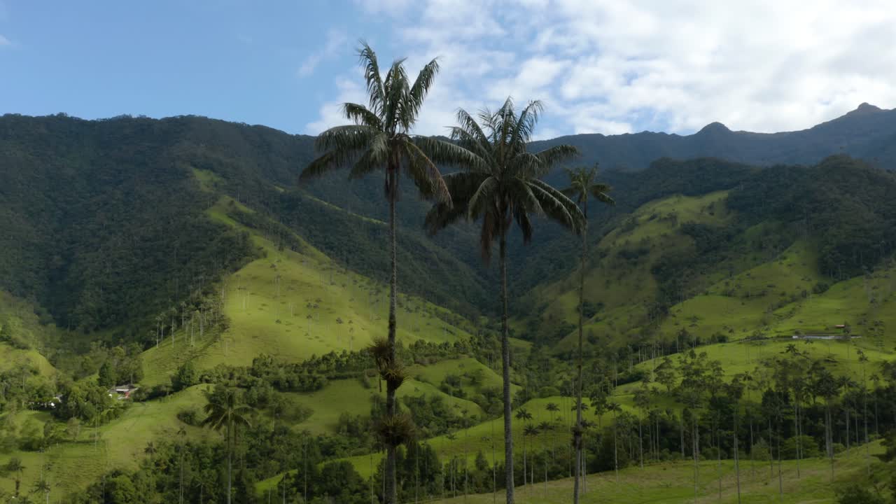 극단적인 클로즈업