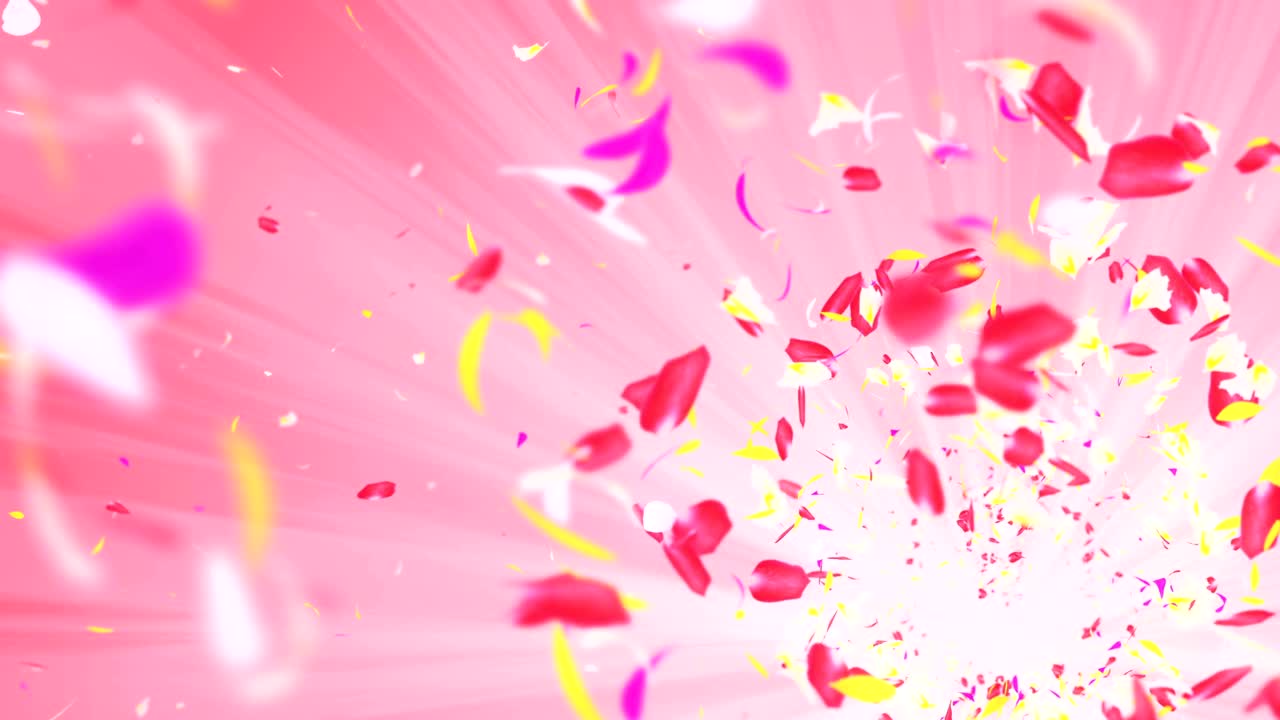 화려한 잎자루, 나선형 반이는 꽃잎, 꽃 모양, 예쁜 춤추는 꽃잎, 회전하는 꽃잎에서 소용돌이, 추상적인 루프 애니메이션.