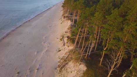 Schöne-Luftaufnahme-Der-Ostseeküste-An-Einem-Sonnigen-Abend,-Goldene-Stunde,-Strand-Mit-Weißem-Sand,-Küstenerosion,-Klimaveränderungen,-Weitwinkel-drohnenaufnahme-Aus-Der-Vogelperspektive,-Die-Sich-Vorwärts-Bewegt