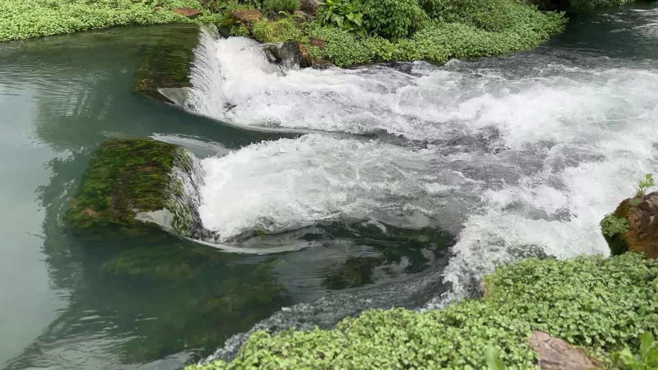 agua corriendo sobre el musgo verde en una corriente 4k 30fps