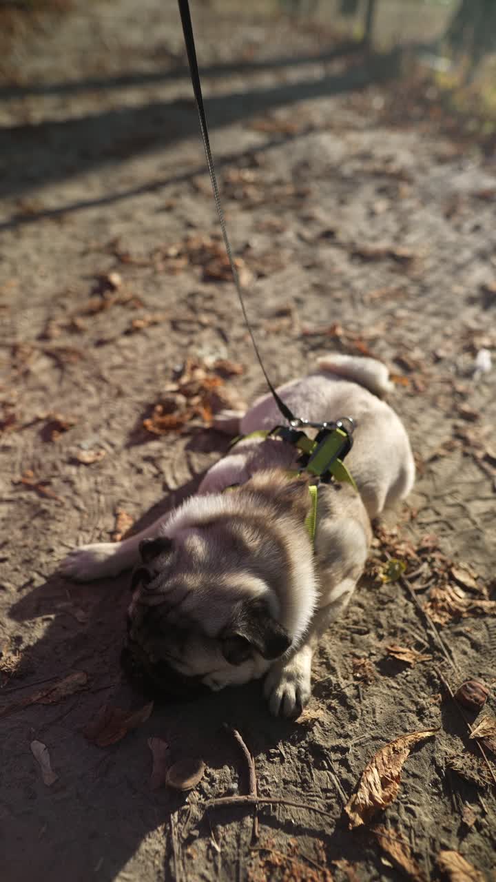 공원에서 고 있는