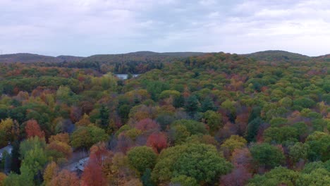 Drone-Moviéndose-Desde-Arriba-De-Un-Bosque-Colorido-A-Un-Camino-En-El-Bosque