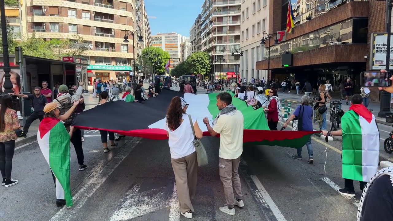 Manifestanti pro-Palestina che portano una grande bandiera durante uno sciopero generale a Valencia