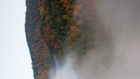 Flyover-above-autumn-forest-covered-in-fog