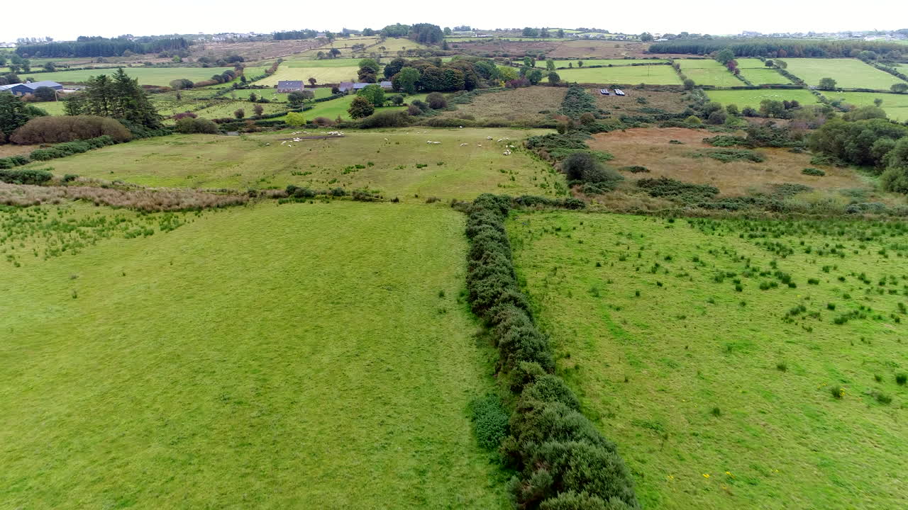 un avión no tripulado volando sobre exuberantes pastos verdes con ovejas pastando los campos en donegal, irlanda