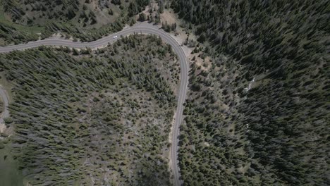White-vehicle-drives-serpentine-evergreen-forest-highway-in-CO-mtns