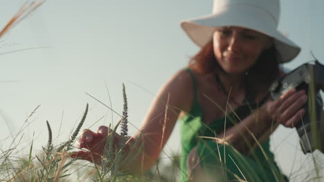 close up of wild purple flower moving slightly in sunlight while woman in green dress with hat approaches slowly holding camera ready to squat in calm natural meadow under soft golden sky