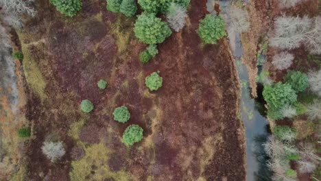 Top-down,-bird's-eye-view-of-a-swamp,-forest,-ponds,-and-stream-then-an-upward-pan-to-reveal-a-mountain-valley-with-a-river-and-rural-road