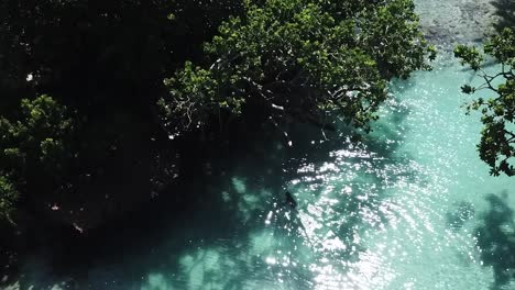 View-above-stunning-Blue-Lagoon-person-swimming-under-the-trees