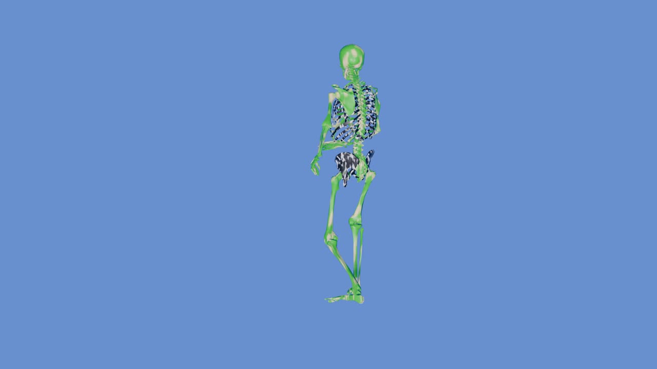 los momentos de la danza de la salsa - esqueleto