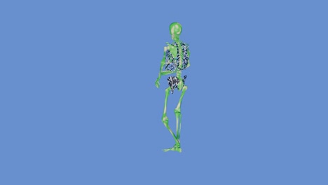 살사 댄스 순간 - 골격