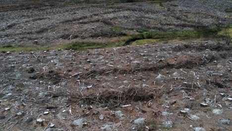 Forestry-timber-logging-harvesting-deforestation-aerial-view-overlooking-destroyed-woodland