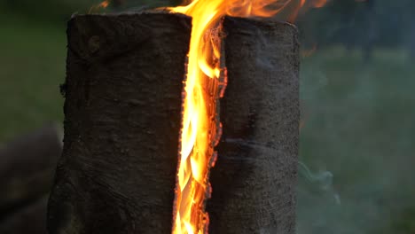antorcha sueca de lado. leña escandinava en llamas