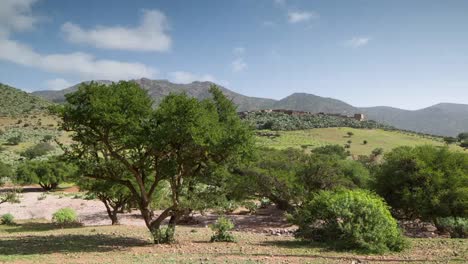 valle de argán 00