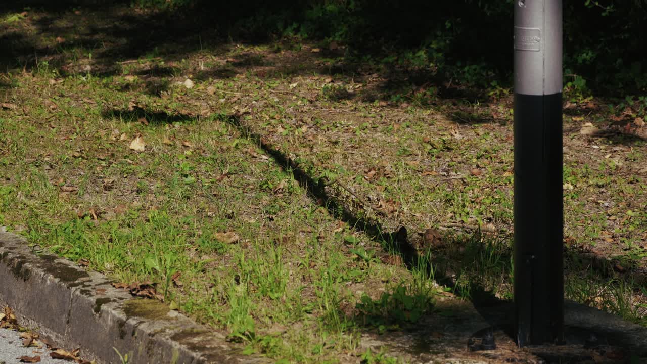 A metal pole casts a long shadow across a patch of grass and pavement surrounded by dry leaves and sunlight near Jarun Lake in Zagreb