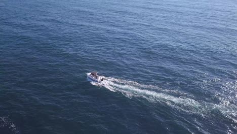 single small white motoric fishing boat crossing the ocean, aerial top down overhead flyover shot