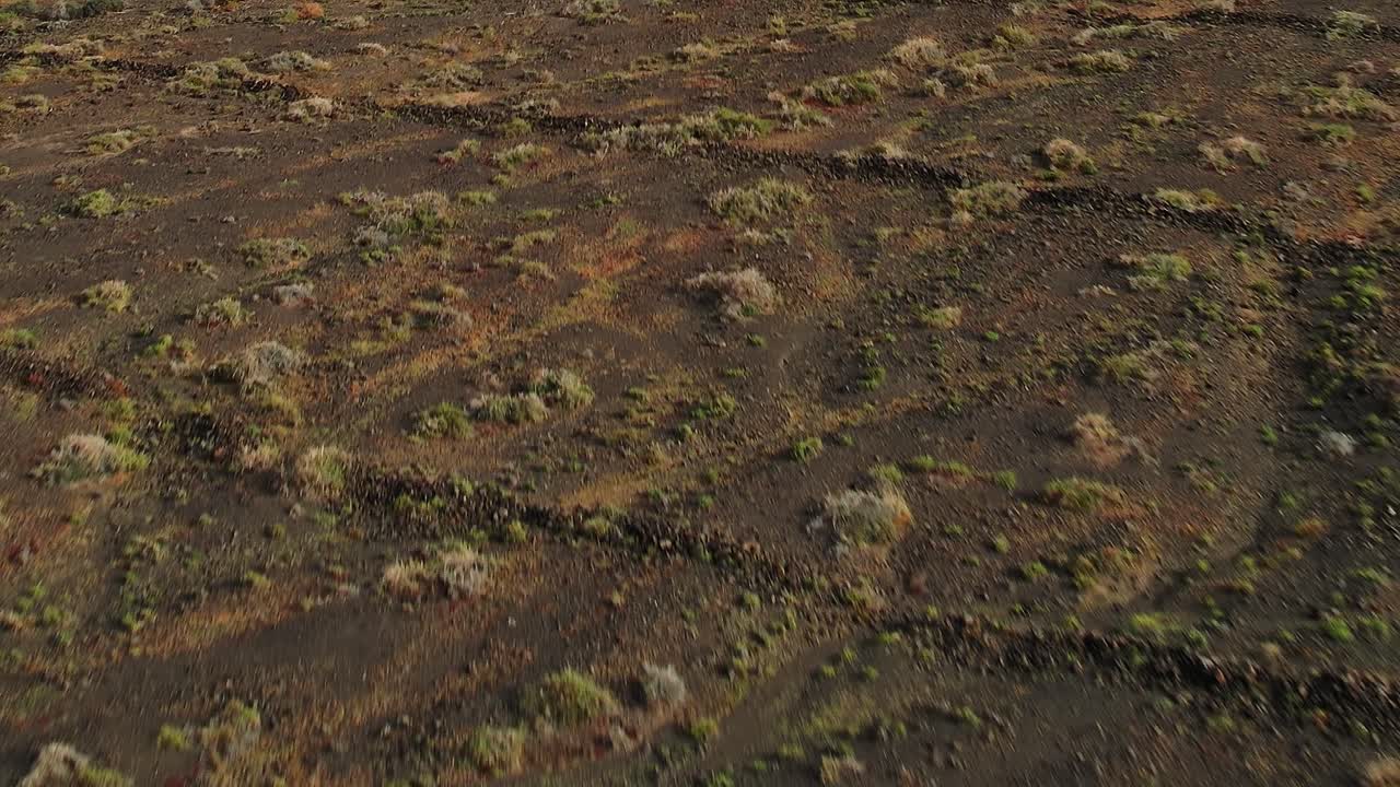 Aerial View of Volcanic Soil with Sparse Vegetation