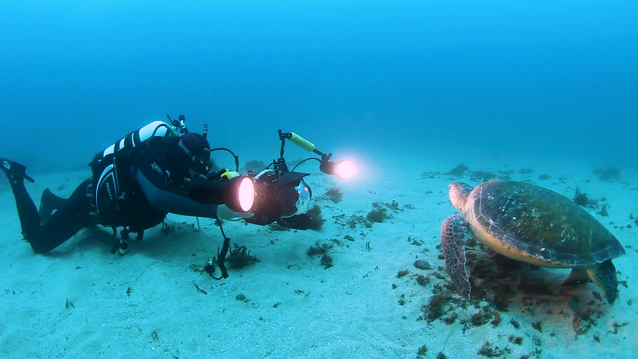 un camarógrafo submarino con luces filmando una tortuga para un programa documental