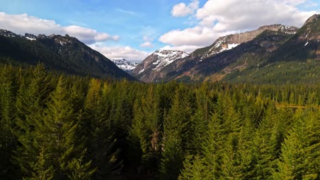 fotografía aérea panorámica volando sobre un bosque de hoja perenne con montañas en el fondo en el estanque gold creek en el estado de washington