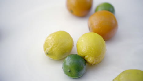 slomo of citrus in water on white backdrop