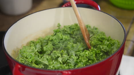 stirring fresh kale into soup broth - slow motion