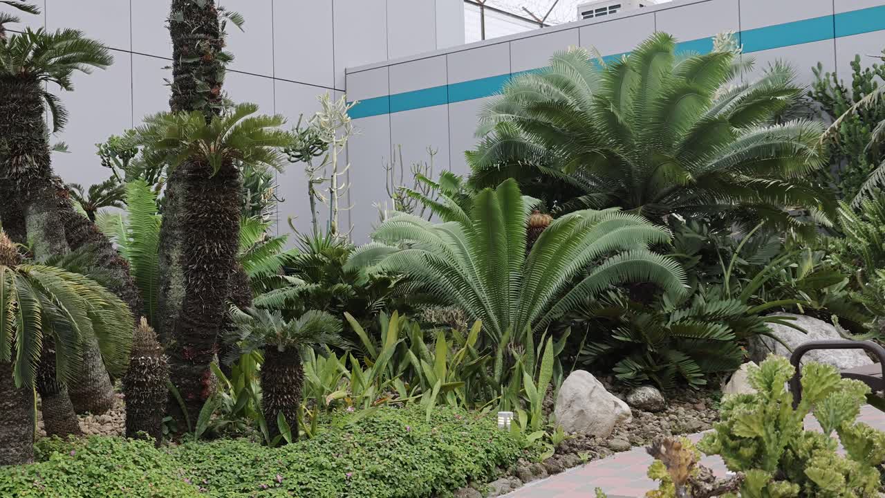 울창한 열대 정원이 진화하는 타임 스