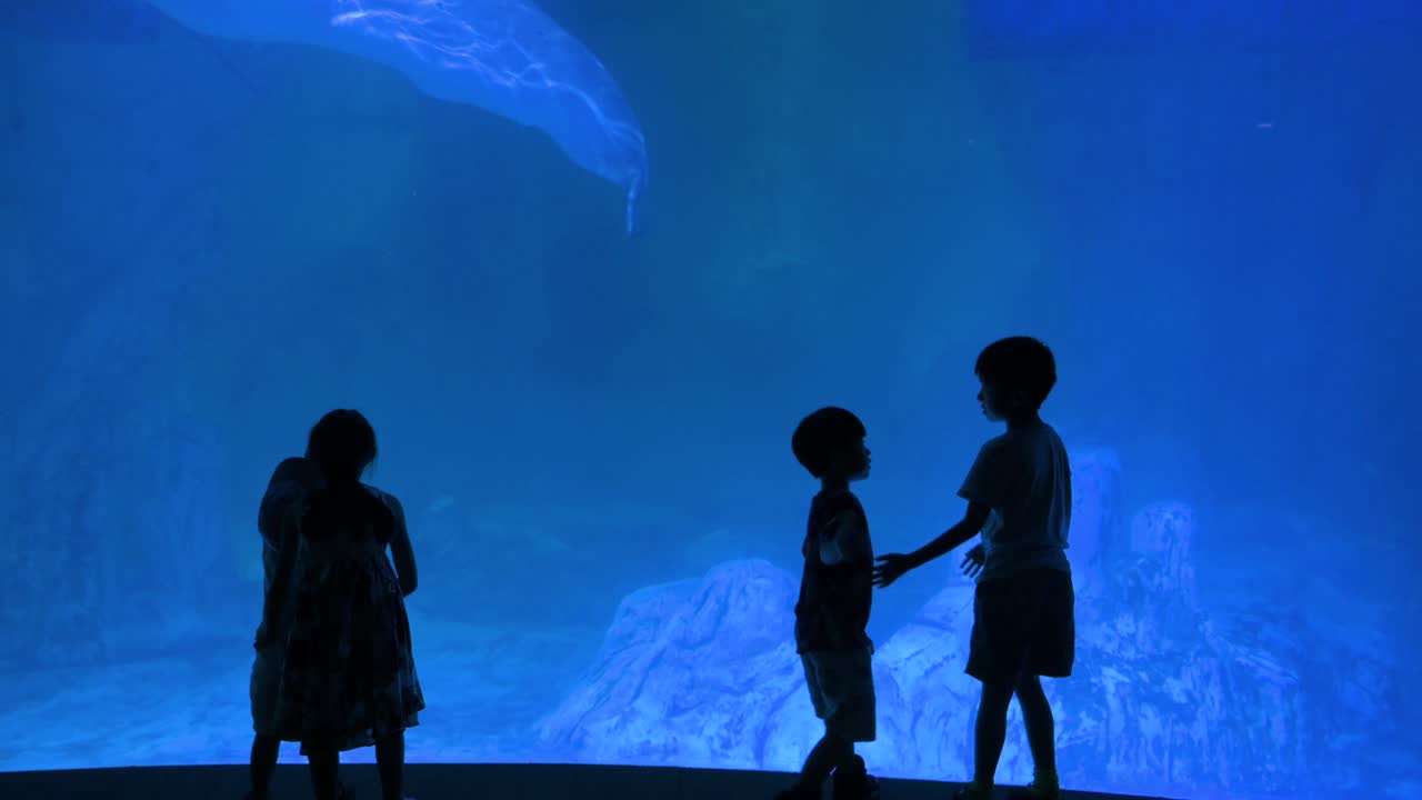 Young visitors gaze at beluga whales, also known as white whales, in the gallery at Oceanografic, located in Valencia's City of Arts and Sciences, Europe’s largest aquarium in Spain.