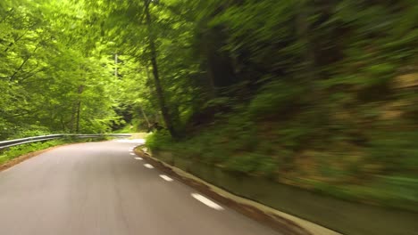 driving on a winding road in a forest, bucegi mountains, rumania