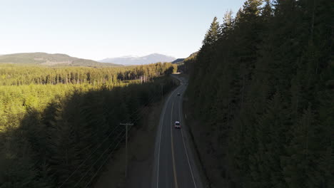 cruising highway 19: scenic drives through northern vancouver island