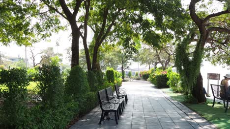 park benches, trees, and walking paths in daylight.