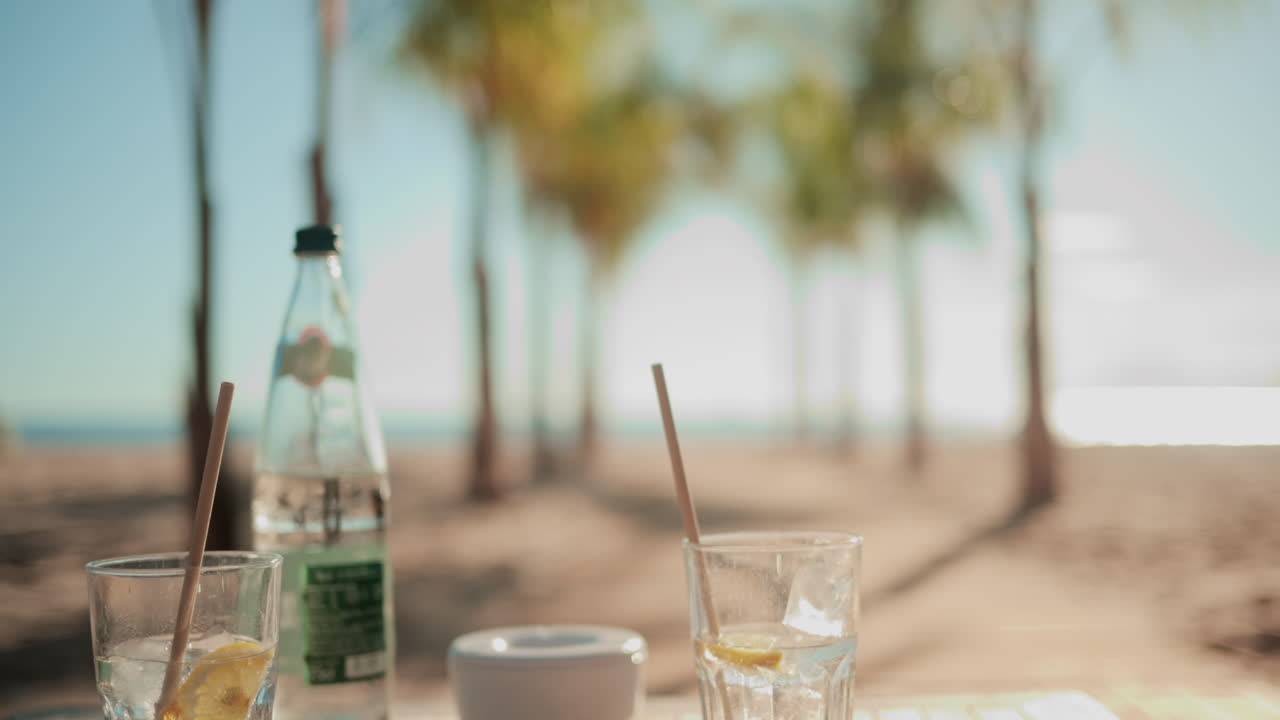 Two refreshing drinks with lemon slices and straws on a table overlooking a sunny beach with palm trees