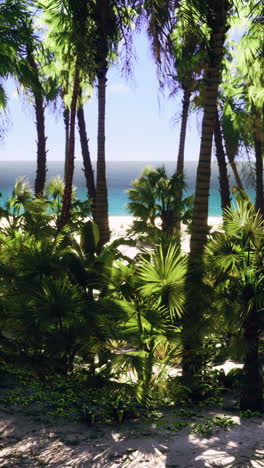 tropical beach paradise: palm trees and ocean view