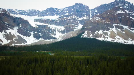 beautiful tree line surrounded by ice covered mountains