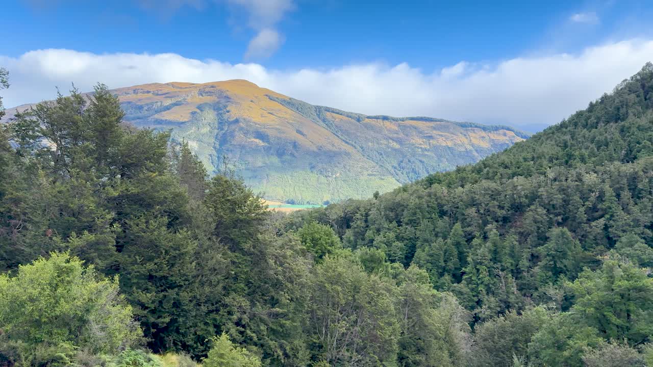 Camera pans across lush forest, revealing Mount Earnslaw under bright daylight and clear skies