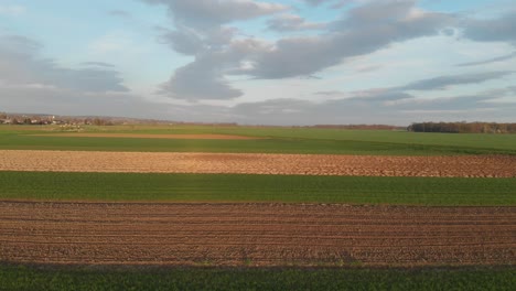 Vista-Aérea-Del-Paisaje-De-Los-Campos-Agrícolas-Cultivados-En-Un-Día-Nublado-En-Primavera