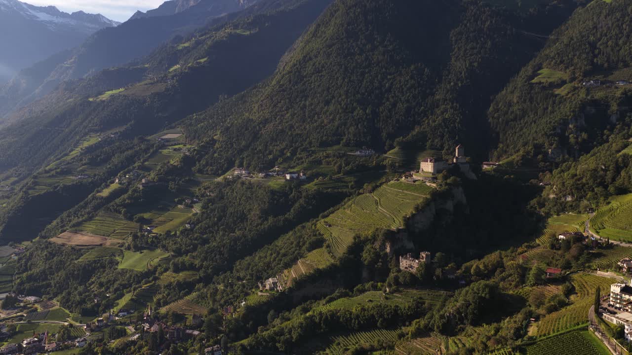 Tirol castle and the Cima Muta, mountain in the area of Merano. Apple orchards. Aerial video