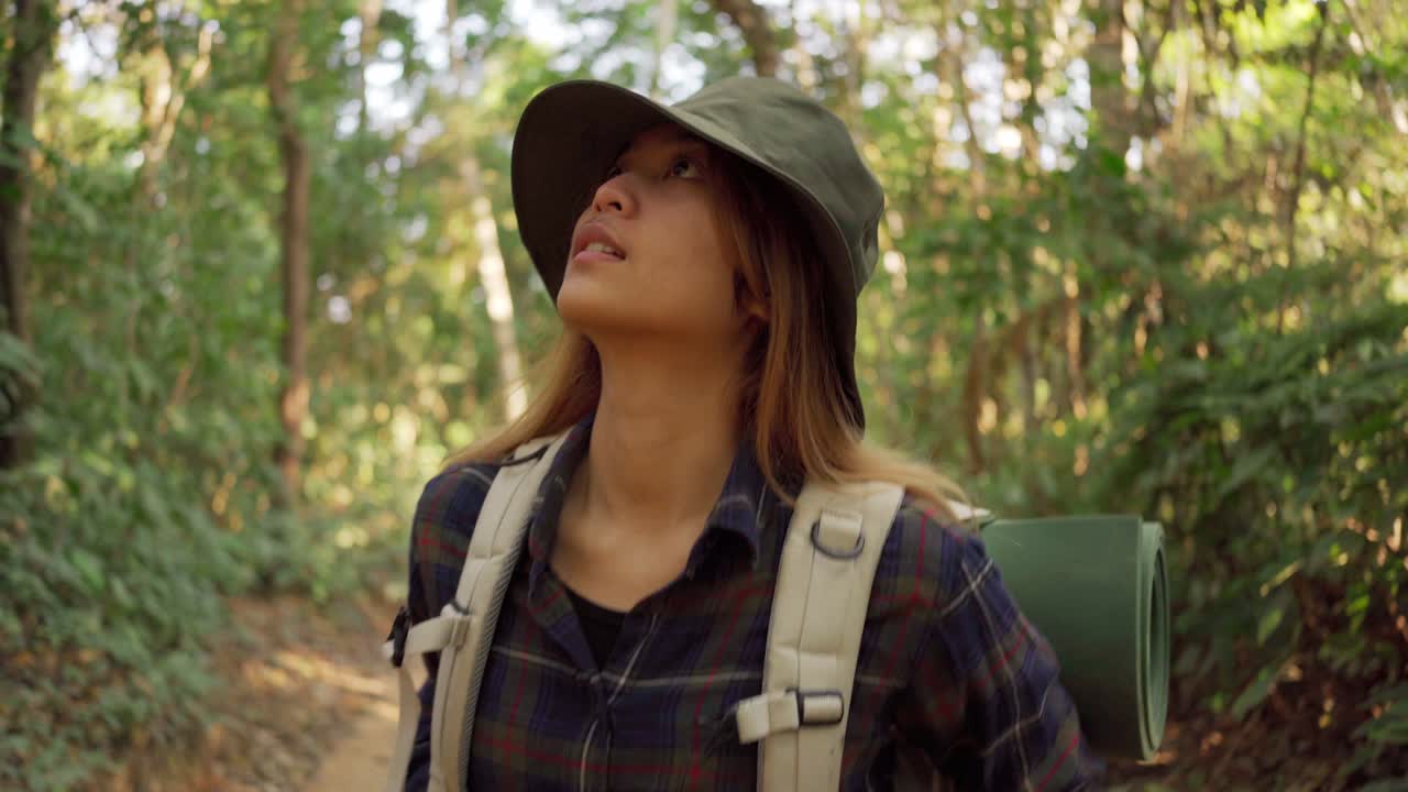 열대우림 정글에서 산책하는 여성: 한 열대우산 자연을 통해 배을 들고 산책하는 소녀 산책자의 뒷면, 여름 날, 태양 효과.