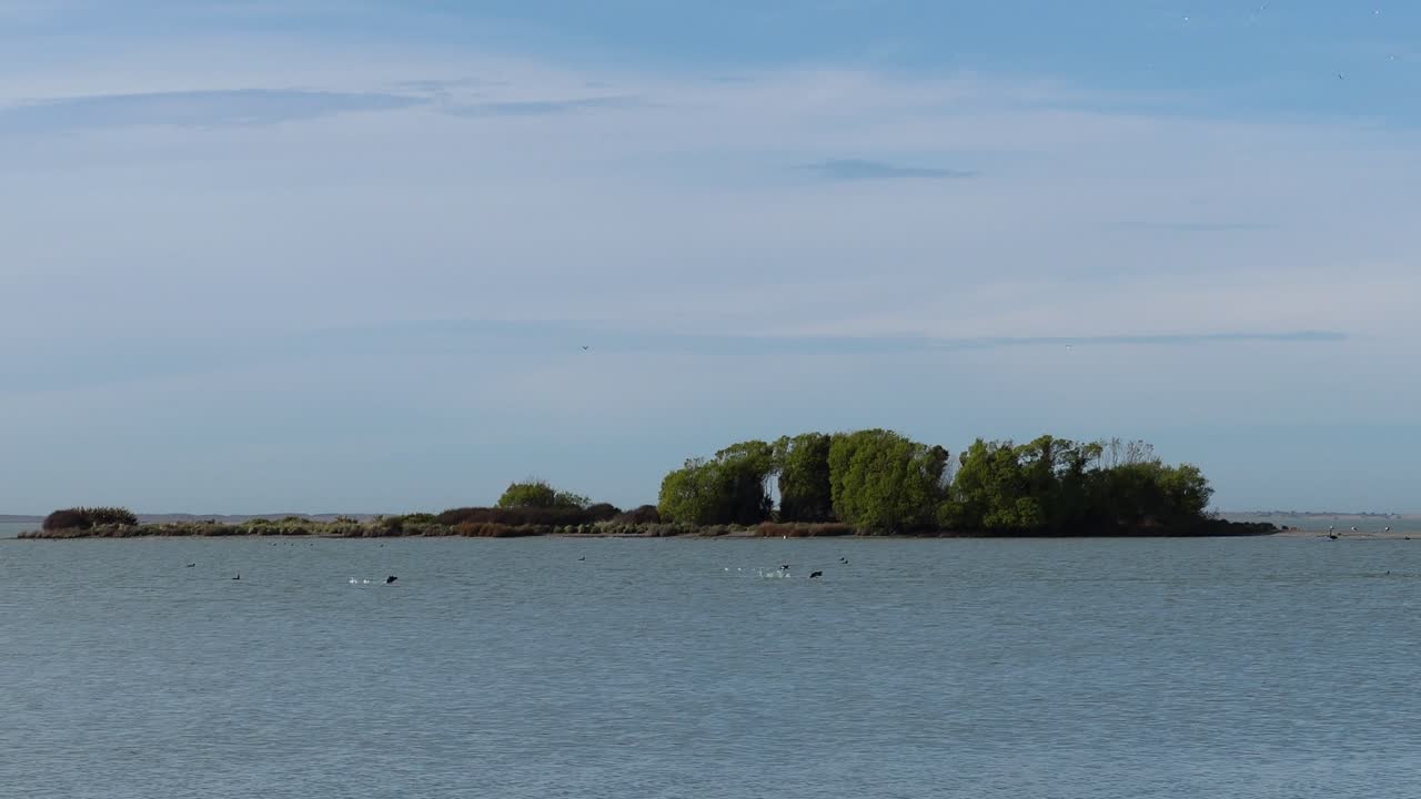 새들이 호수의 섬 앞을 날다 - 엘즈미어 호수