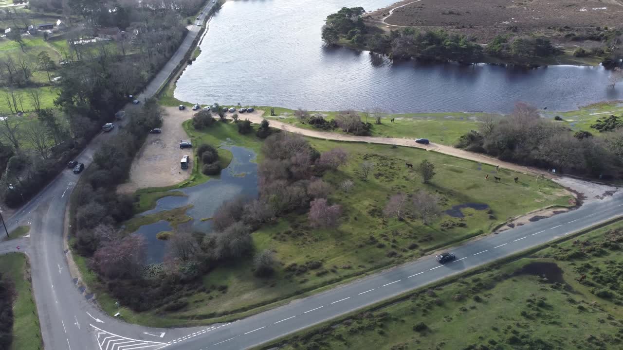 손도끼 연못, 새숲 15.01.2023 clip4