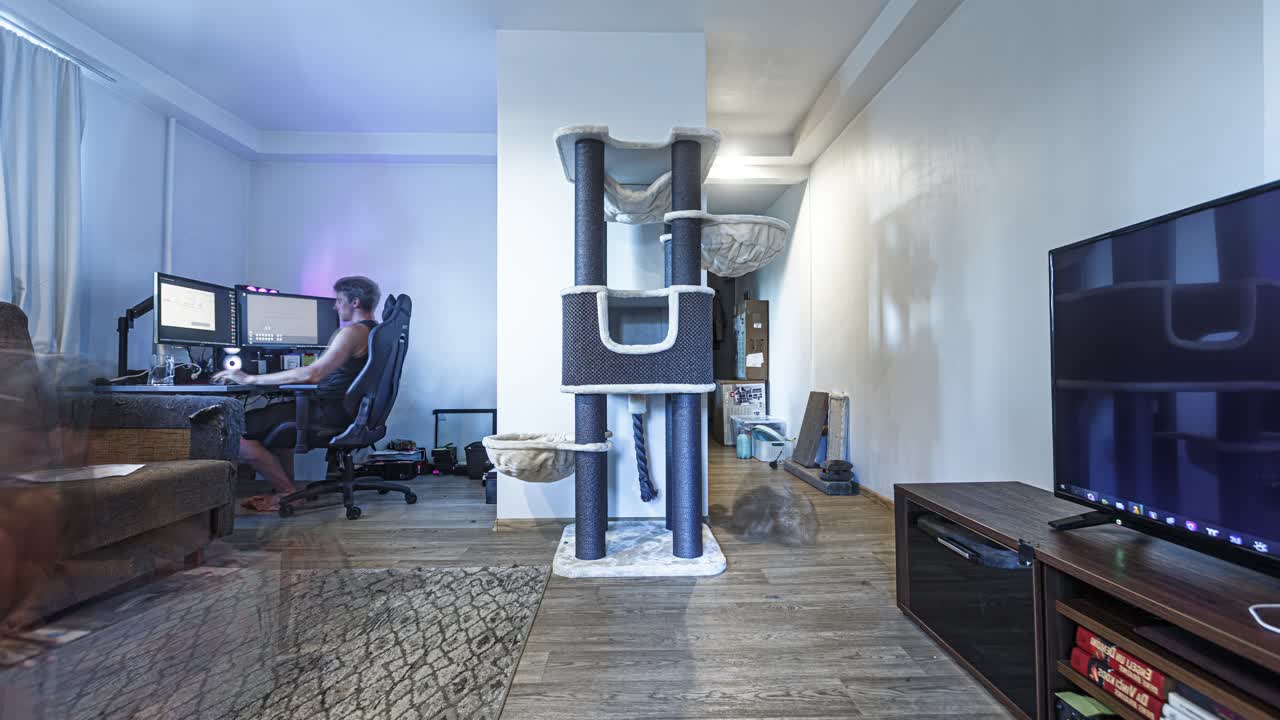 Couple assembling a cat tree in their apartment. Time lapse