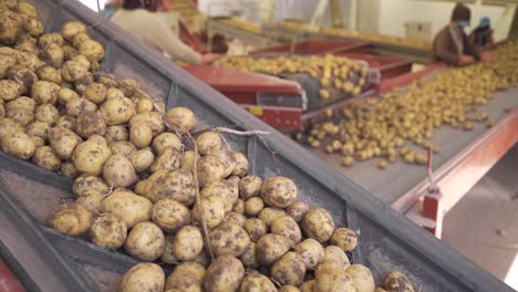 potatoes in slow motion.