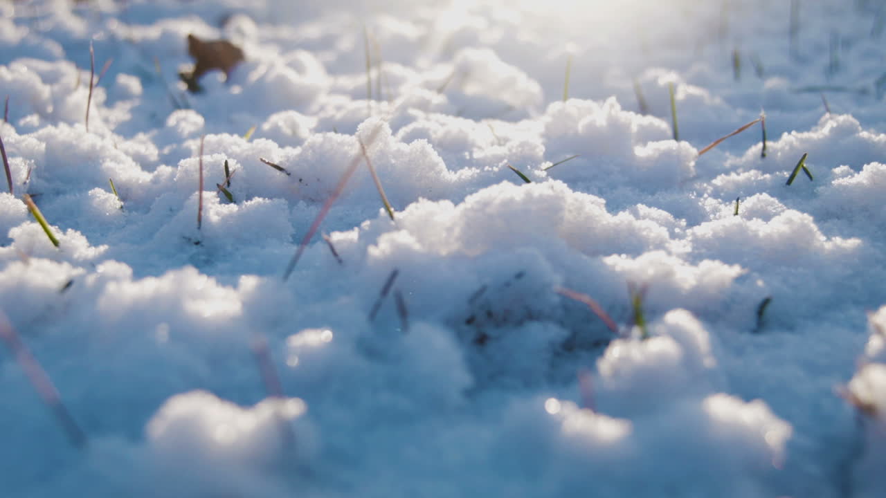 Snow Covered Mountains Bathed in Sunlight During a Clear Day