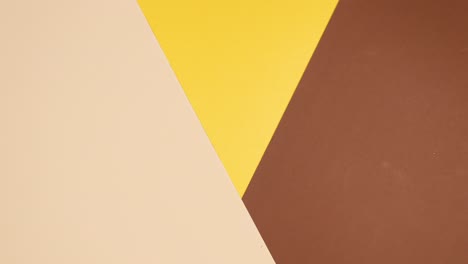 tropic gold and green palm leaves appear on golden nude background. stop motion flat lay exotic concept