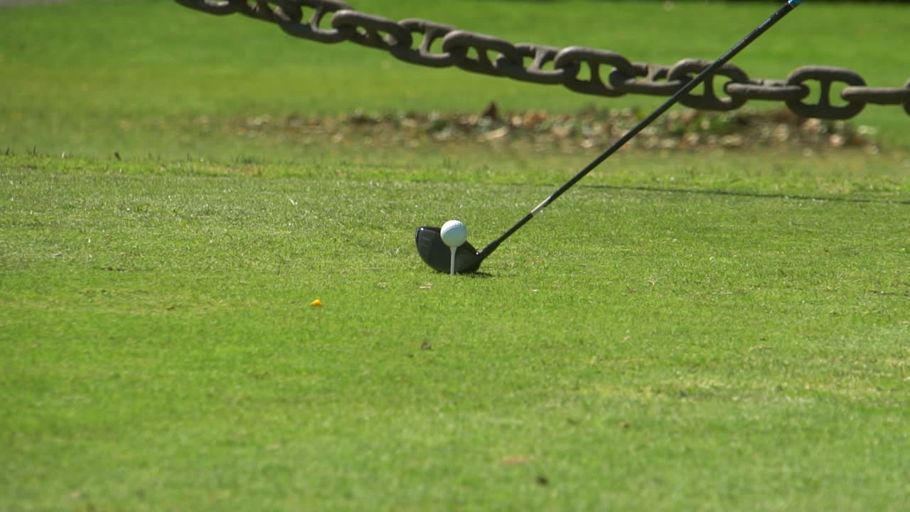 HIT ON THE GOLF GREEN AND BALL ENTRANCE