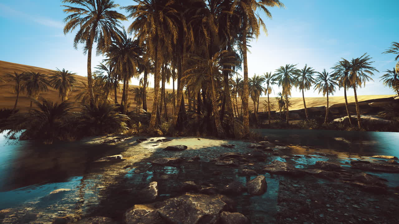 Palm oasis with shimmering water amidst golden desert dunes in sunlight